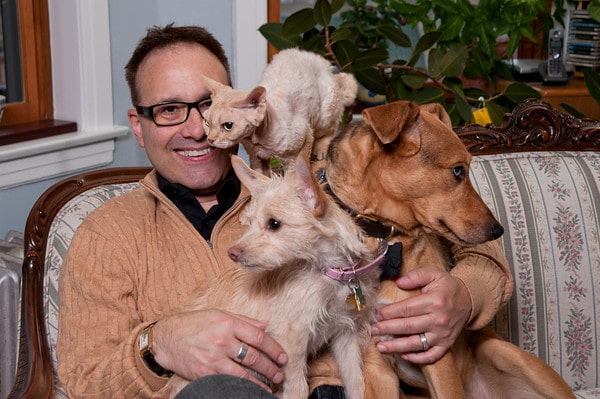 Cat People Are Much More Intelligent Than Dog People